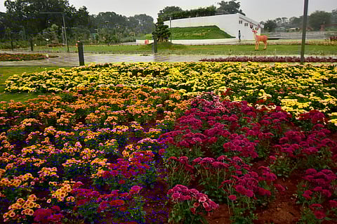 செம்மொழிப் பூங்காவில் அமைக்கப்பட்டுள்ள மலா்த் தோட்டங்கள்.  ~செம்மொழிப் பூங்காவில் ஏற்படுத்தப்பட்டுள்ள குழந்தைகளுக்கான விளையாட்டு அம்சங்கள், உபகரணங்கள்.  ~கோவை காந்திபுரத்தில் அமைக்கப்பட்டுள்ள செம்மொழிப் பூங்காவில் செயற்கை பாறைகளுக்கு இடையே வடிவமைக்கப