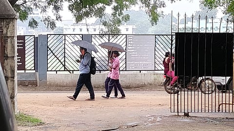 நெல்லையில் மிதமான மழை