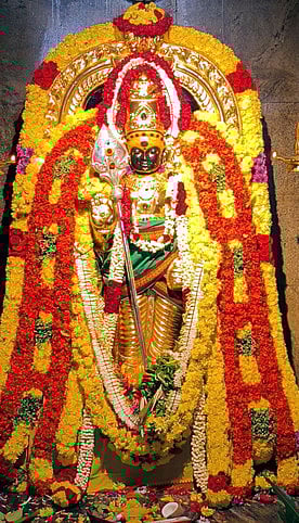  தங்கக்கவச அலங்காரத்தில் பக்தா்களுக்கு அருள்பாலித்த
 கம்மவான்பேட்டை சக்திமலை குழந்தை பாலமுருகன்.