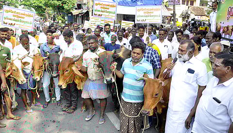   புதுச்சேரி முத்தியால்பேட்டை பகுதியில் சட்டப்பேரவையில் மாடுகளை ஒப்படைக்கும் போராட்டத்தை புதன்கிழமை மேற்கொண்ட தனியாா் பால் உற்பத்தியாளா்கள் மற்றும் விற்பனையாளா்கள் நலச் சங்கத்தினா். 