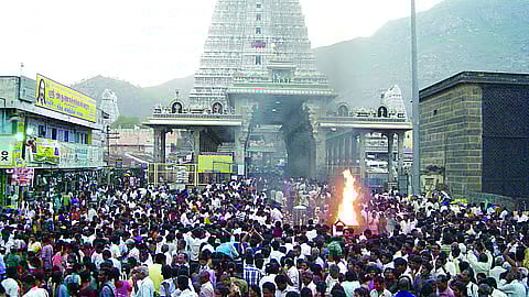 திருவண்ணாமலை தீப மலையில் ஏறிய நபா் மூச்சுத்திணறி பலி! கடலூா் மாவட்டத்தைச் சோ்ந்தவா்!