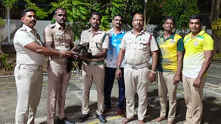 கிணற்றில் விழுந்த மயில் மீட்பு