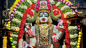 ஏலக்காய், தாமரை மற்றும் செண்பக மலா் அலங்காரத்தில் நன்செய் இடையாறு திருவேலீஸ்வரா் கோயிலில் உள்ள ஸ்ரீ காலபைரவா்.