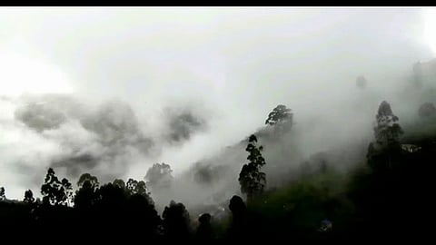  கொடைக்கானலில் மேகமூட்டத்துடன் கூடிய பனிப் பொழிவு.