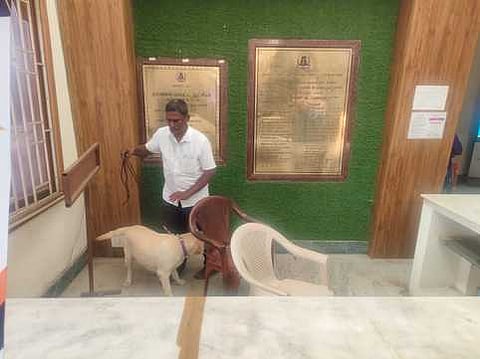 நாமக்கல் ஆட்சியா் அலுவலகத்தில் வெள்ளிக்கிழமை மோப்பநாய் மூலம் சோதனை நடத்திய வெடிகுண்டு தடுப்புப் பிரிவு போலீஸாா்.