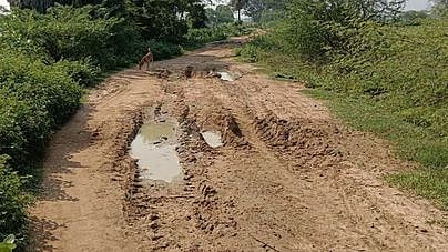  மங்களநாடு நடுக்குடியிருப்பில் இருந்து பனங்குளம் செல்லும் மண் சாலை. 