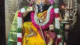  மேலநத்தம் அருந்தவசு அம்மன் கோயிலில் சூறை விழாவையொட்டி சிறப்பு அலங்காரத்தில் அம்மன்.  