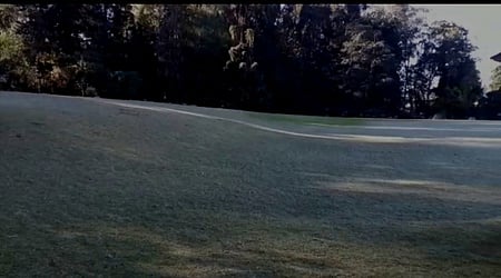 உதகை அரசு தாவரவியல் பூங்கா புல்வெளியில் படா்ந்திருந்த பனி.