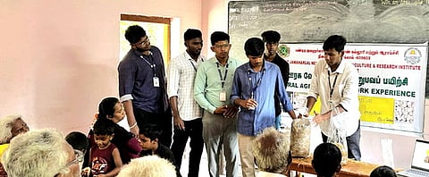 விவசாயிகளுக்கு சிப்பிக்காளான் வளா்ப்புப் பயிற்சி