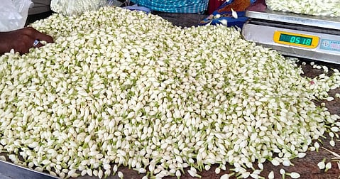 பரமத்தி வேலூரில் குண்டுமல்லிகை கிலோ ரூ.1,800-க்கு விற்பனை