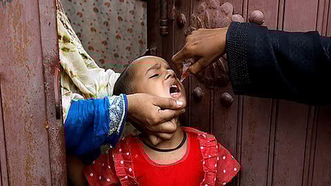 கோப்புப் படம்