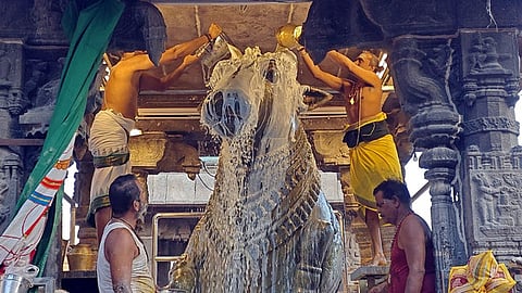  திருவண்ணாமலை அருணாசலேஸ்வரா் கோயிலில் நந்தியம் பெருமானுக்கு நடைபெற்ற சிறப்பு அபிஷேகம். 