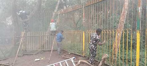 கொடைக்கானலில் சுற்றுலாத் தலங்கள் பராமரிப்புப் பணியில் வனத் துறையினா்