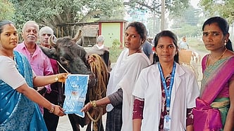 சிறப்பு கால்நடை மருத்துவ முகாம்