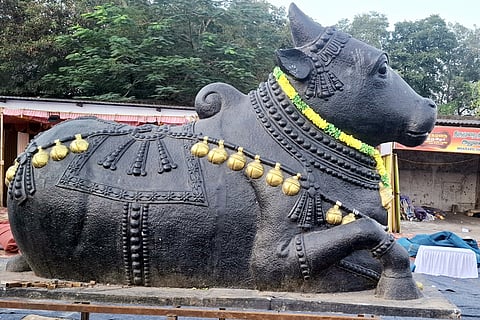 விழா நடைபெறவுள்ள வளாகத்தில் வைக்கப்பட்டுள்ள பிரம்மாண்டமான நந்தி.