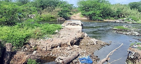 பாலாற்றில் சிறுபாலம் அமைக்க கோரிக்கை