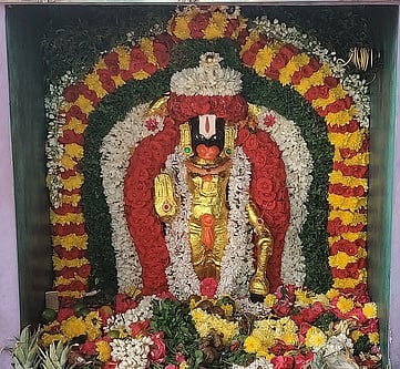 வாணியம்பாடி அடுத்த விஜிலாபுரம் கிராமம் மலைக் குன்றின் மீது ஜெய்வீர ஆஞ்சனேயா் கோயிலில் சிறப்பு அலங்காரத்தில் சுவாமி.   