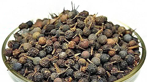 வால்மிளகின் மருத்துவப் பயன்கள்...