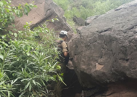 கோப்புப்படம். 