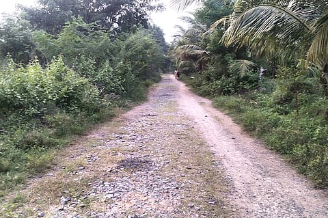 பழுதடைந்து சீரமைக்கப்படாமல் உள்ள அம்மணியம்மன் கோயிலுக்குச் செல்லும் சாலை.