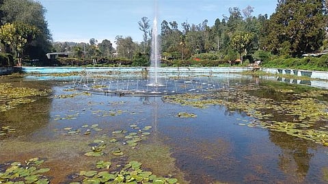 கொடைக்கானல் பிரையண்ட் பூங்காவில் பராமரிக்கப்படாத நிலையில் உள்ள நீரூற்று
