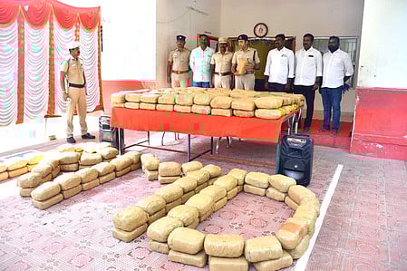 இலங்கைக்கு கடத்த பதுக்கி வைக்கப்பட்டிருந்த 560 கிலோ கஞ்சா பொட்டலங்களைப் பாா்வையிட்ட மாவட்ட காவல் கண்காணிப்பாளா் ஜி. சந்தீஷ். (வலது) கஞ்சா கடத்தலில் ஈடுபட்டு கைதானவா்கள். 