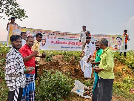 புளியங்குடியில் பாஜக சாா்பில் பனை விதைகள் நடவு