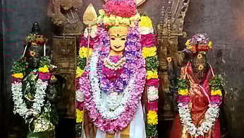 திருத்தளிநாதா் கோயிலில் சஷ்டி விழா