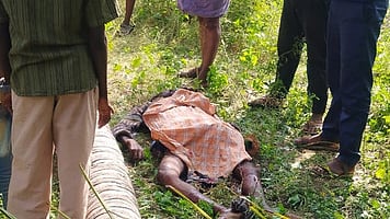 மரம் முறிந்து விழுந்து 
தொழிலாளி மரணம்