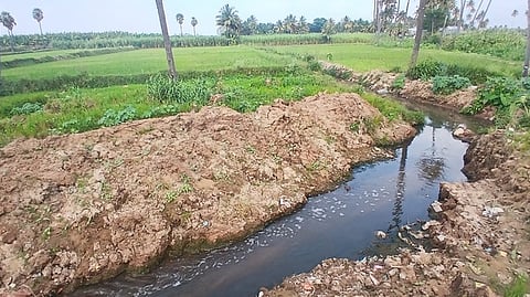 பாசனக் கால்வாய் வழியாக விளைநிலங்களுக்குச் செல்லும் கூடலூா் நகராட்சியிலிருந்து வெளியேறும் கழிவுநீா்.

