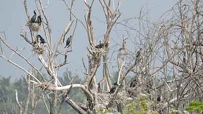 கோப்புப் படம்