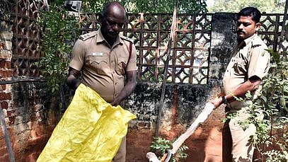 பாம்பை மீட்ட தீயணைப்பு வீரா்கள்.