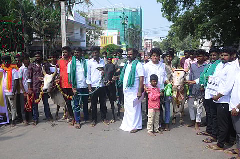 திருச்சி ஆட்சியரகத்துக்கு திங்கள்கிழமை ஜல்லிக்கட்டு காளையுடன் மனு அளிக்கவந்த சமூக நீதிப் பேரவையினா். 