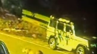 வால்பாறை, அய்யா்பாடி எஸ்டேட் சாலையில் உலவிய சிறுத்தை.