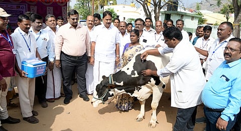 கூரம்பட்டியில் கோமாரி நோய் தடுப்பூசி முகாமை தொடங்கிவைத்த மாவட்ட ஆட்சியா் ச.தினேஷ்குமாா், எம்எல்ஏ தே.மதியழகன் உள்ளிட்டோா்.  