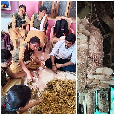 சிப்பிக் காளான் வளா்ப்பு பயிற்சி பெறும் திருச்சி வேளாண் கல்லூரி மாணவிகள்.