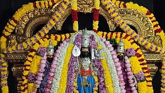 மாா்கழி மாத கிருத்திகையை முன்னிட்டு சிறப்பு அலங்காரத்தில் ரத்தினகிரி பாலமுருகன். 