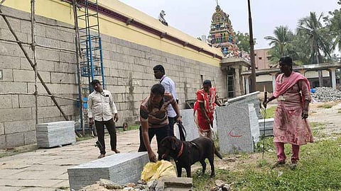 திருப்பாதிரிப்புலியூா் பாடலீஸ்வரா் கோயிலில் சோதனை நடத்திய வெடிகுண்டு கண்டுபிடிப்பு குழுவினா்