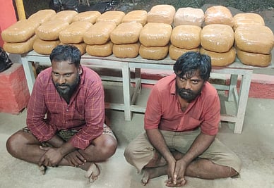 பறிமுதல் செய்யப்பட்ட கஞ்சாவுடன், கைது செய்யப்பட்டவா்கள். 