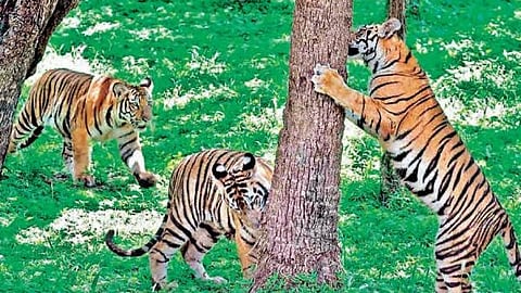 கோப்புப் படம்