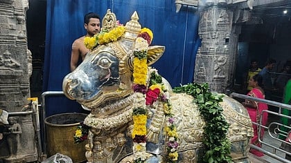 ராசிபுரம் ஸ்ரீ கைலாசநாதா் ஆலயத்தில் பிரதோஷ வழிபாடு