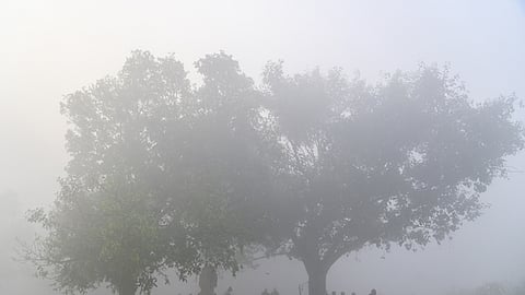 கோப்புப் படம்