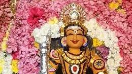 சிறப்பு சந்தனக்காப்பு மலா் அலங்காரத்தில் அருள்பாலித்த தண்டாயுதபாணி