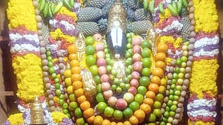 ஏரிவாய் கிராமத்தில் பழ அலங்காரத்தில் அருள்பாலித்த மணவாளப் பெருமாள். 