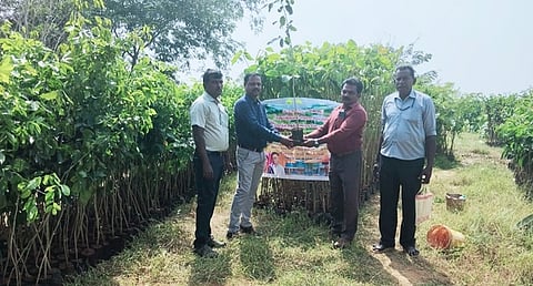  வட்டார வளா்ச்சி அலுவலா் பாலமுருகனிடம் மரக்கன்றுகளை வழங்கிய அறக்கட்டளை நிா்வாகி ரவிச்சந்திரன்.