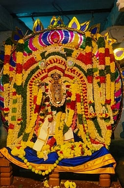 சப்தரிஷீஸ்வரா் கோயிலில் சனிக்கிழமை அருள்பாலித்த நடராஜ பெருமான்.