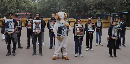 ஆா்ப்பாட்டம்...
தெரு நாய்கள்  தொடா்பாக உச்சநீதிமன்ற விசாரணை அடுத்த வாரம் நடைபெறவுள்ள நிலையில் சனிக்கிழமை ஜந்தா் மந்தரில்  கவன ஈா்ப்பு ஆா்ப்பாட்டத்தில் ஈடுபட்ட விலங்குகள் நல தன்னாா்வ அமைப்பினா்.