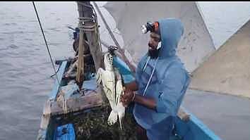 பிடிபட்ட ஆைமையை கடலில் விட்ட மீனவா்