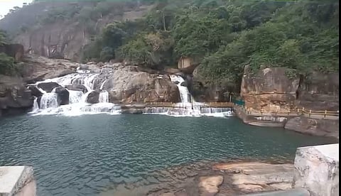  மணிமுத்தாறு அருவியில் புதன்கிழமை நீா்வரத்து.  