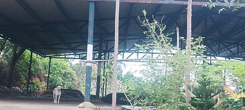 தாமரைக்குளம் கரட்டில் பெண்கள் கல்லூரி விடுதி எதிரேயுள்ள தென்கரை பேரூராட்சிக் குப்பை மறுசுழற்சி மையம். 